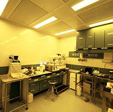 AA69代孕感恩回馈现场